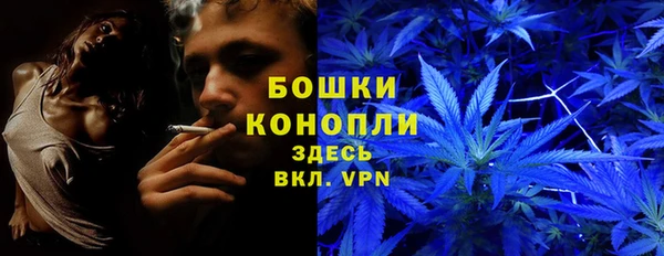 трава Волоколамск