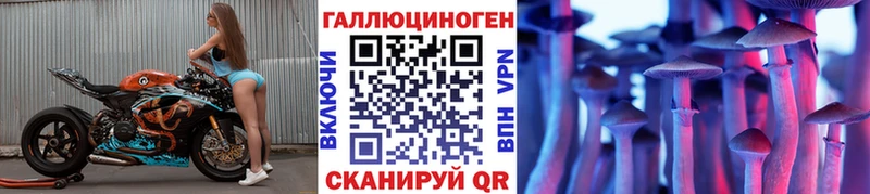 как найти закладки  Назарово  Псилоцибиновые грибы MAGIC MUSHROOMS 