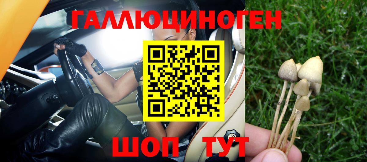 Псилоцибиновые грибы Cubensis Назарово